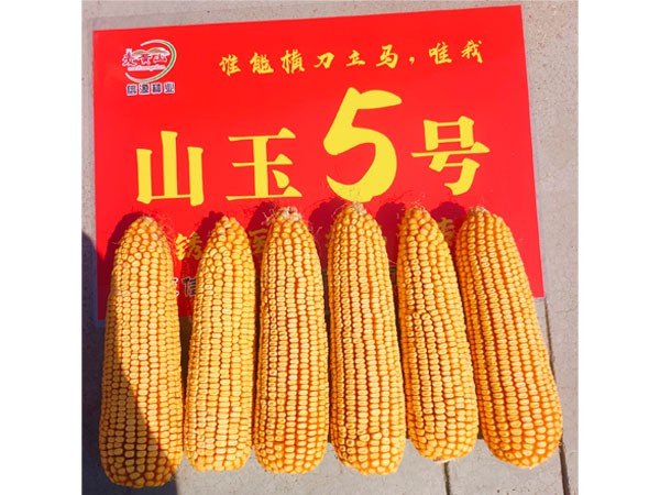 http://sdxyzy.cn/Item/Show.asp?m=2&d=1144