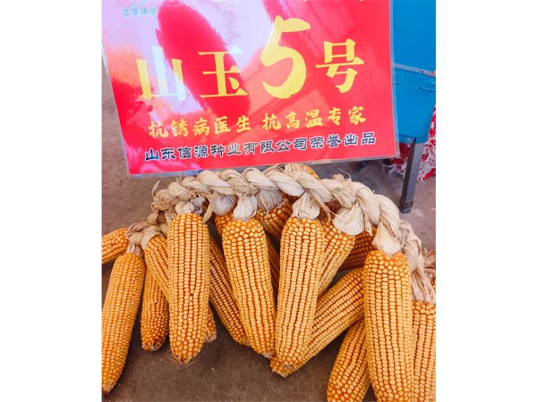 http://sdxyzy.cn/Item/Show.asp?m=2&d=1143